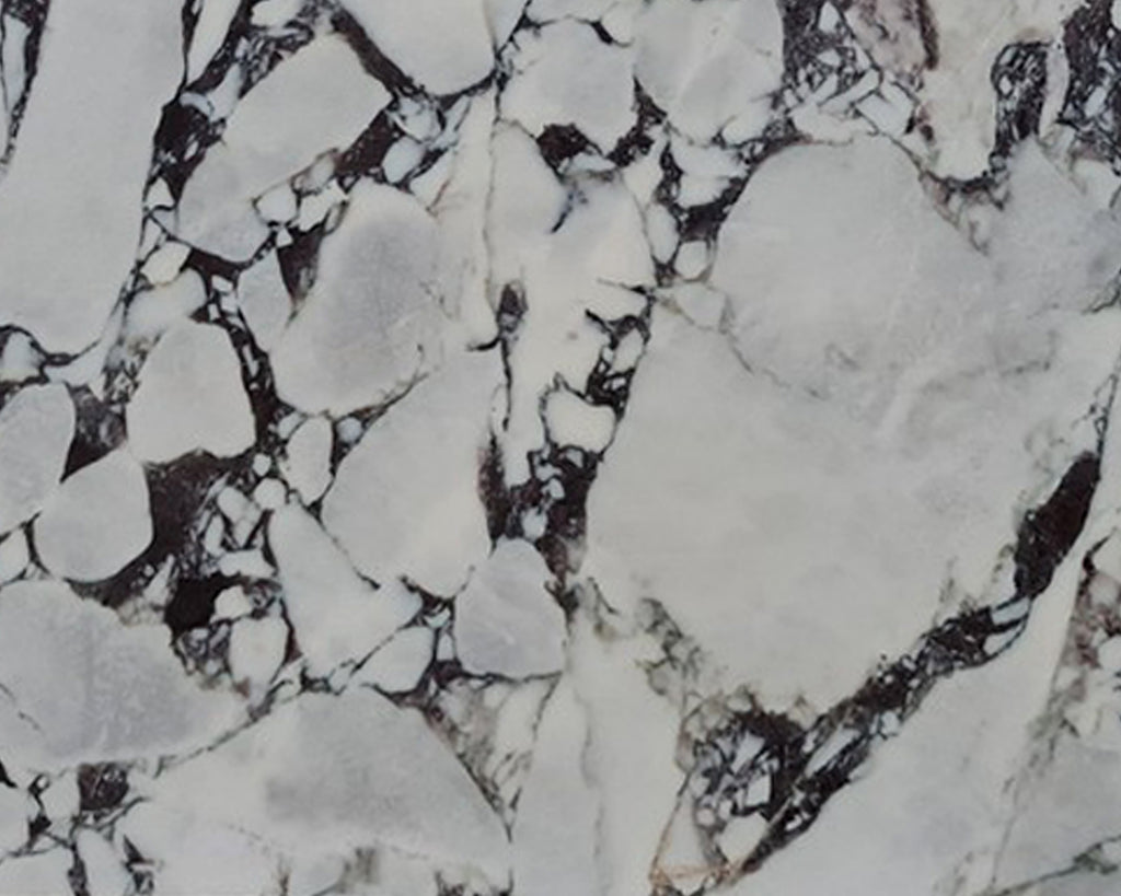 White marble with black veining