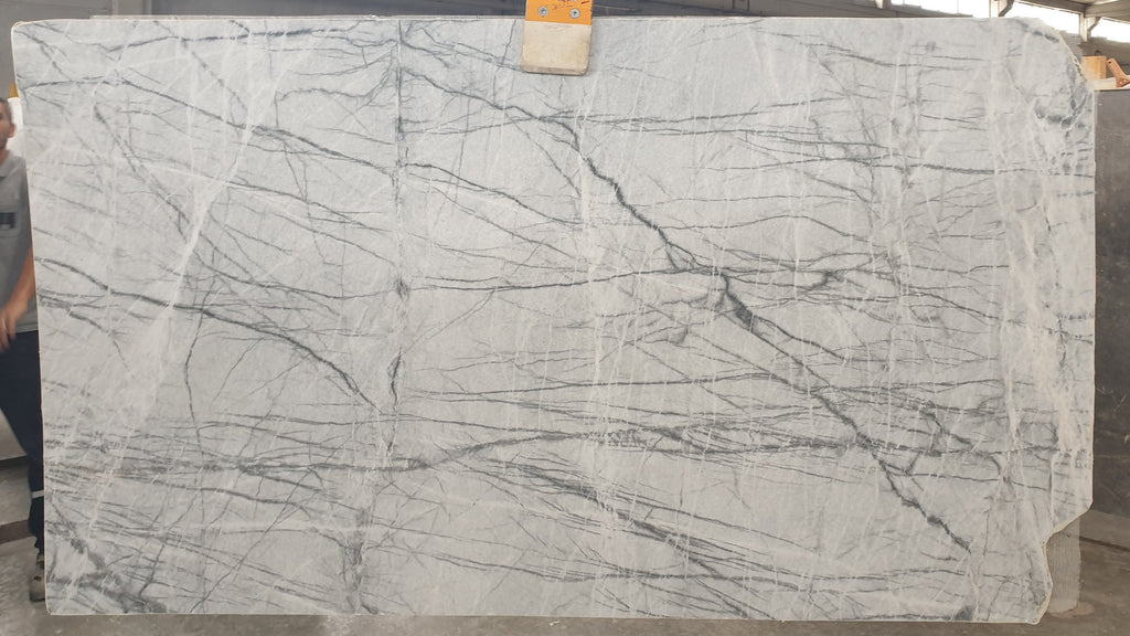 White marble with dark veining slab