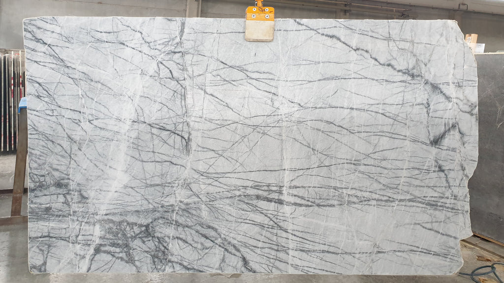 White marble with dark veining slab