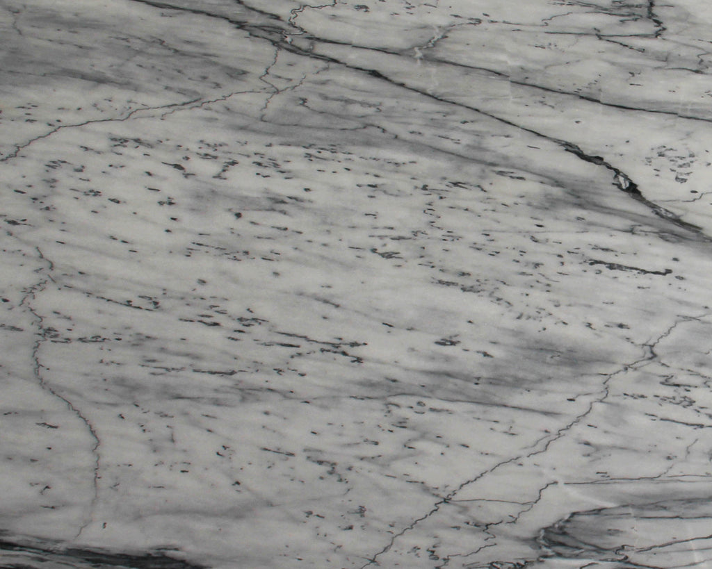 White Marble with black veining